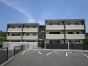 Lienはなみずき