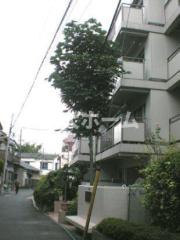東武亀戸線小村井駅まで徒歩5分