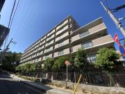 白鷹香枦園マンション