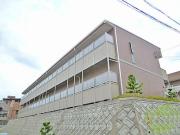 アンプルールクラージュコリーヌシャンI