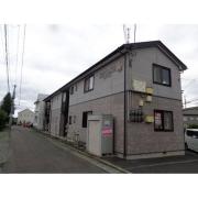 レガッタ