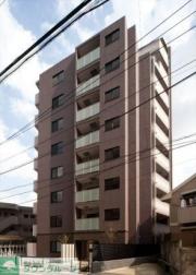 DIPS小竹向原