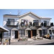 DUPLEX 国王323C
