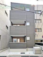Anecis 橘