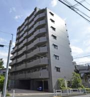 ルーブル蓮根