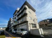 セシル古市