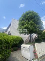 ビラ田園