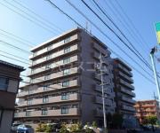 ネオハイツ助信