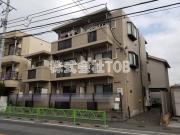 パルビートル