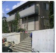 Heights Wisteria B