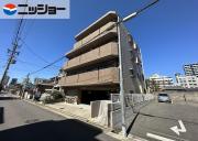 シェモア本山