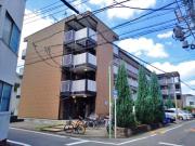 菊井