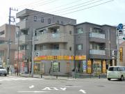 グリーンクレスト
