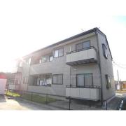 パレット46