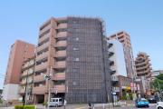 Joy of Life 鶴川