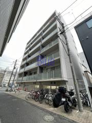 maison y