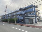 マンショングレース
