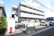 アムールフジ