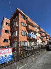 カルチェベーレ岸
