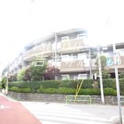コーピアス・エス