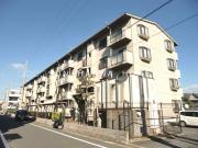 ソシアAOYAMA