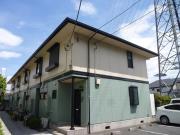 エバーグリーンA