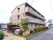 シトラスコート