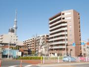 FARFALLA FARFALLA ファルファーラ