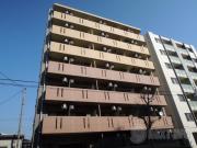 メジャー ランド 横濱鶴見