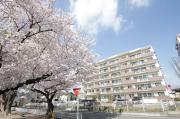 T-one MIYAHARA West B