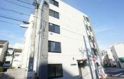 AXIAM SUMIDA
