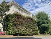 国立グリーンヒルスクエアI-D