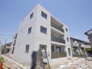 シンセーロ