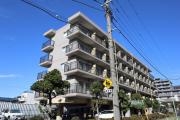 ヤングコート市川