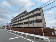 フレア光が丘