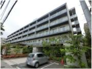 N stage行徳II