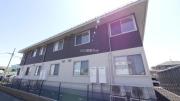 Dーroom東泉町 C