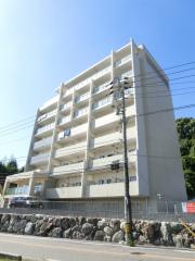 RYUO HILLS