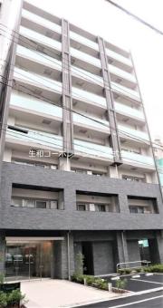ステラマリス