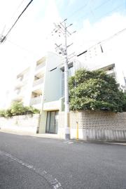 ブルーベル