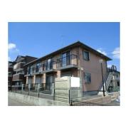 彩