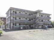 ＪＲ鹿児島本線新八代駅まで徒歩11分