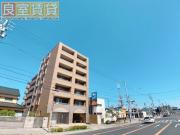 ウィステリア妙音通