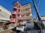 ストロベリーフィールド