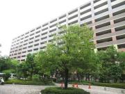 ライオンズマンションセントワーフ横濱