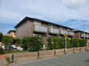 Royal Garden 40016 C