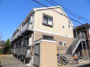カルティベイ海楽