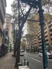 朝日プラザ赤坂II