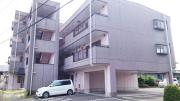 マリッチ大舘II号館