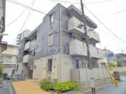 シダーテラス